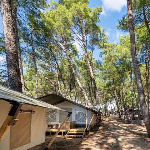 CANVAS AND WOOD TENT 5 people - Safari tent Comfort + airco 