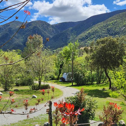 PIAZZOLA - Piazzola per tende, caravan o camper + elettricità