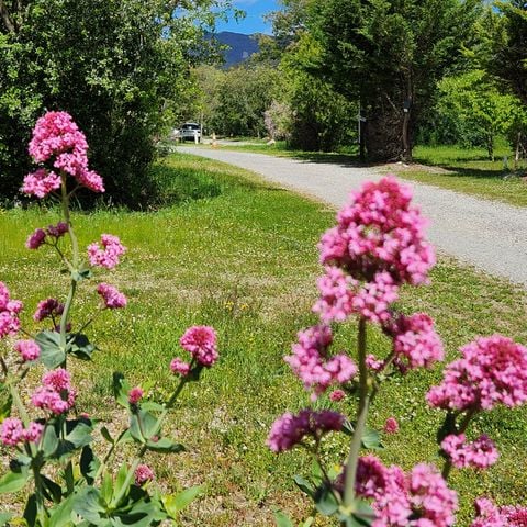 EMPLACEMENT - Emplacement tente, caravane ou camping-car + électricité