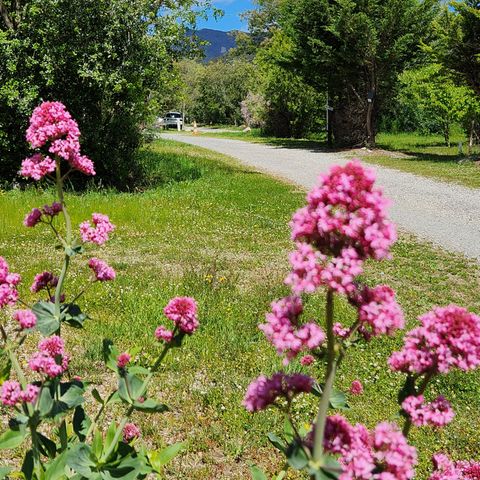 Pitch - Tent, caravan or motorhome pitch + electricity