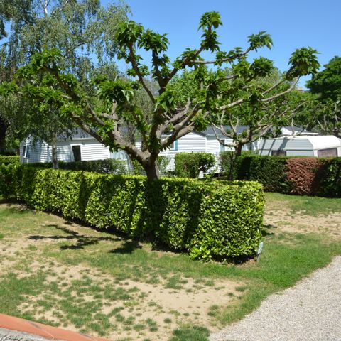 PARCELA - vehículo + electricidad 10A