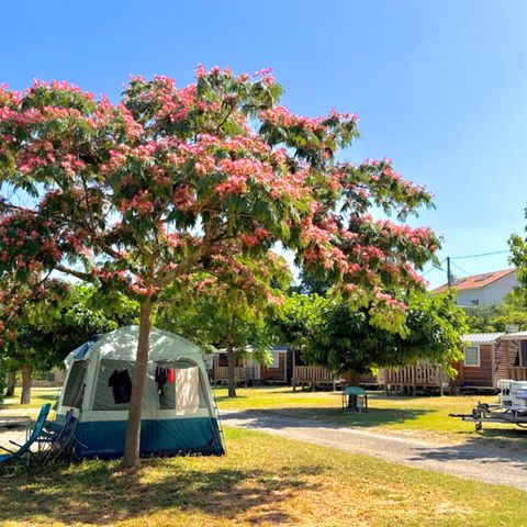 Kampeerplaats - Amelia pakket: 1 plaats + 1 voertuig + Tent, Caravan of Camper (elektriciteit inbegrepen)