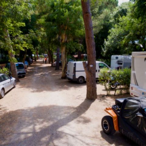 PLOT - LOCATION WITHOUT ELECTRICITY