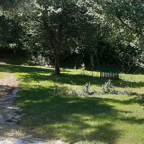 Pitch - 1 car + tent, caravan or motor home