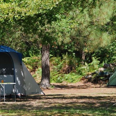 PARCELA - Paquete 1 persona - Tienda grande