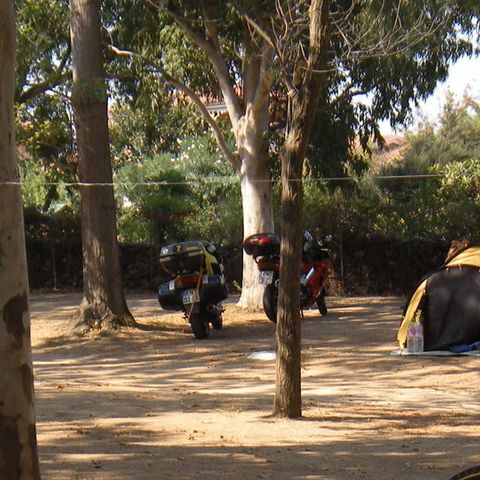 PARCELA - Paquete 1 persona - Tienda pequeña