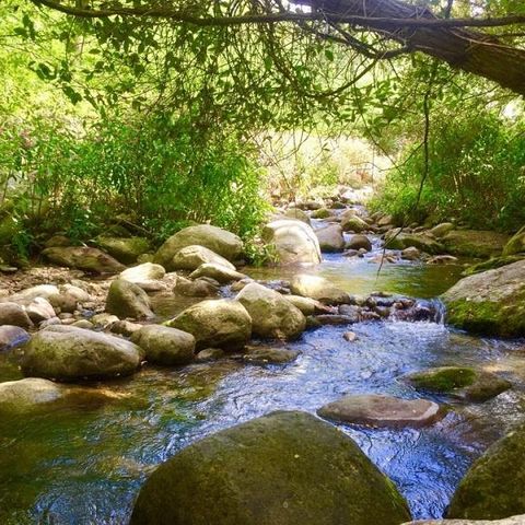 Camping L'eau Vive Camping L'eau Vive - Camping Pyrenees-Orientales - Image N°37