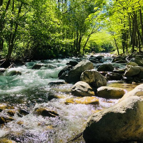 Camping L'eau Vive Camping L'eau Vive - Camping Pyrenees-Orientales - Image N°22