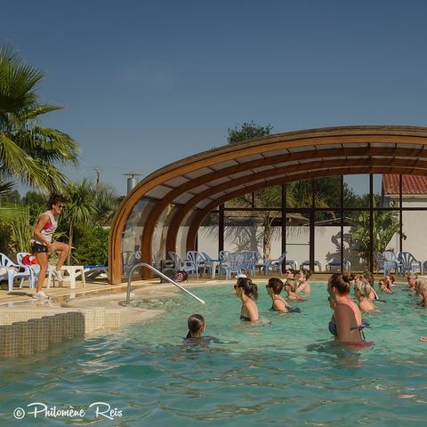 Camping l'Etoile d'Or - Camping Pyrenees-Orientales - Image N°5