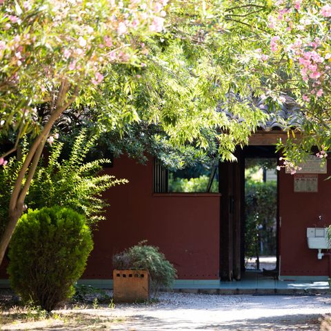 PLOT - Pitch + car + 2 pers. + electricity 10Amp