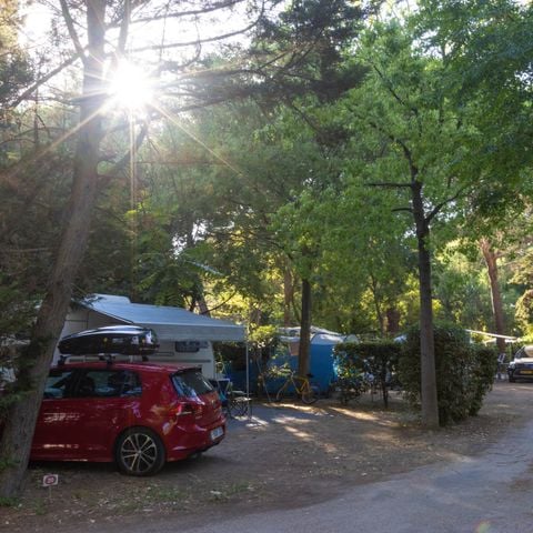 PARCELA - Parcela + coche + 2 pers. + electricidad 10Amp