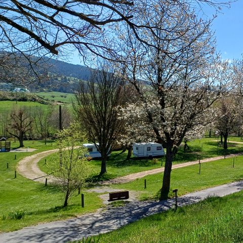 EMPLACEMENT - Forfait emplacement (tente ou caravane + véhicule + électricité)