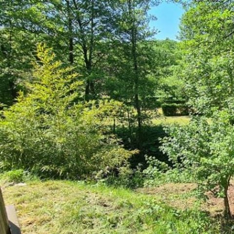 Caravan 4 personen - Vintage caravan en 4p tent