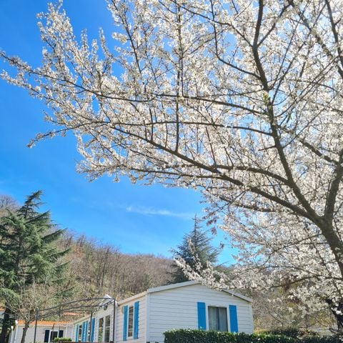 Chalet 6 persons - Chalet Premium Prestige XL 4-6P n°5