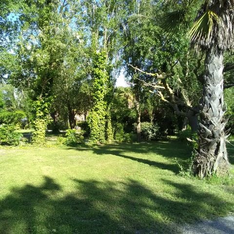 Stellplatz - Stellplatz Komfort+ 10A