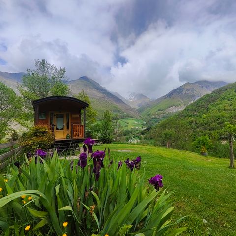 Tiny house 4 personen - Wohnwagen Rhododendron 18 m²