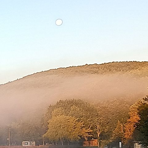 Stellplatz - 2 Personen, 1 Zelt, 1 Fahrzeug + Strom 6AMP