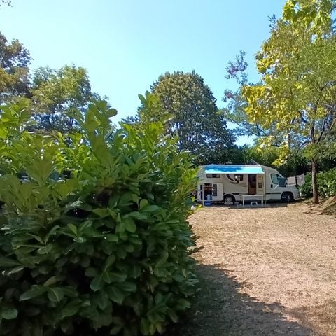 Kampeerplaats - 2 personen, 1 tent, 1 voertuig + elektriciteit 6AMP