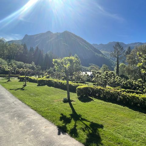 STAANPLAATS - Camping Natuur Arrangement