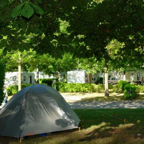 PIAZZOLA - TENDA + 1 VEICOLO