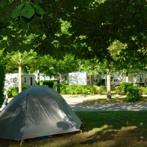 EMPLACEMENT - TENTE + 1 VEHICULE