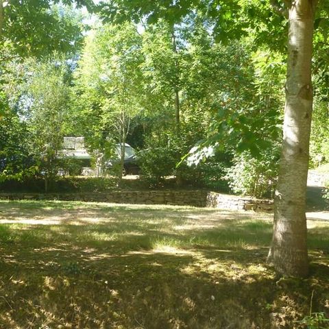 STAANPLAATS - Natuur arrangement: staanplaats + auto + tent/caravan of camper