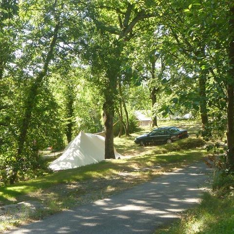 Kampeerplaats - Natuur arrangement: staanplaats + auto + tent/caravan of camper