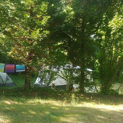 Kampeerplaats - Natuur arrangement: staanplaats + auto + tent/caravan of camper