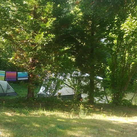 STAANPLAATS - Natuur arrangement: staanplaats + auto + tent/caravan of camper