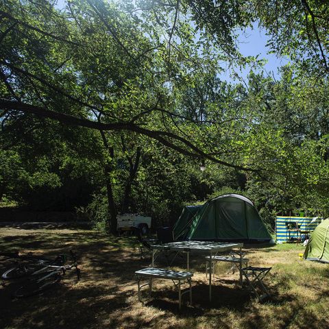 STAANPLAATS - Comfortpakket: standplaats + auto + tent/caravan of camper + 10A elektriciteit