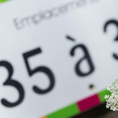 Stellplatz - Pauschale Confort: Stellplatz + Auto + Zelt/Wohnwagen oder Wohnmobil + Strom 10A