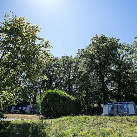Kampeerplaats - Comfortpakket: standplaats + auto + tent/caravan of camper + 10A elektriciteit