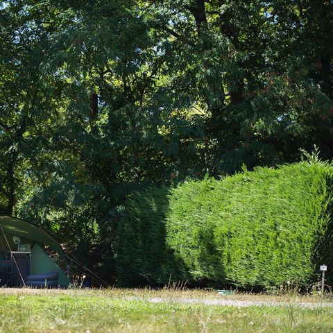 Kampeerplaats - Comfortpakket: standplaats + auto + tent/caravan of camper + 10A elektriciteit