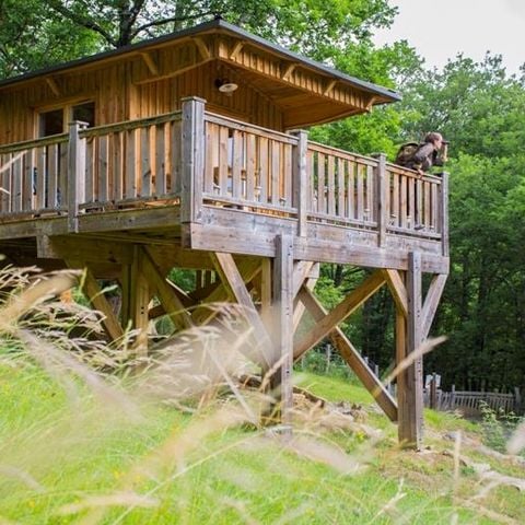 UNIEKE ACCOMMODATIE 5 personen - CABANE in de bomen 24m² / 1 kamer - overdekt terras