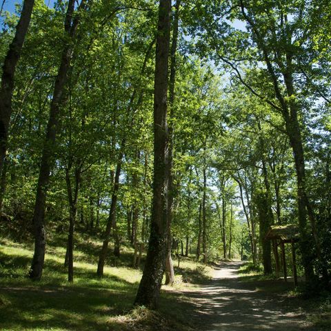 CHALET 6 personas - Chalet VERDE 35m² / 2 habitaciones - terraza