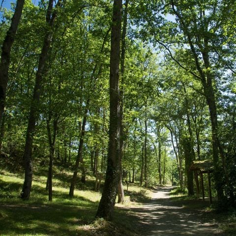 CHALET 6 personnes - Chalet GREEN 35m² / 2 chambres - terrasse