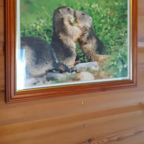 CHALET 4 personnes - chalet des marmottes