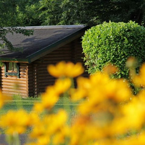 CHALET 4 people - chalet des marmottes