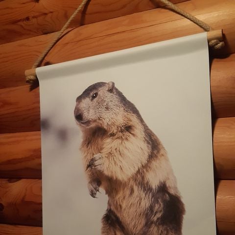 Chalet 4 personen - chalet des marmottes