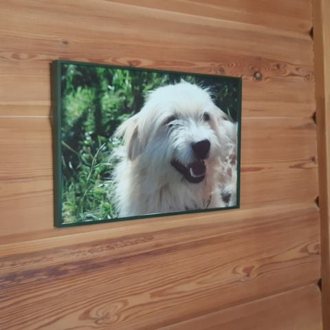 Chalet 3 personnes - chalet du berger