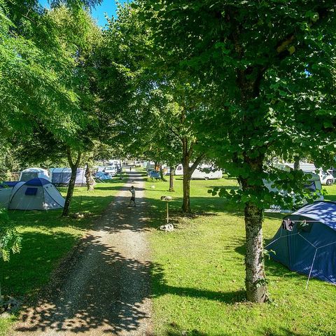 Pitch - 1 person package (1 pitch, 1 vehicle, 1 person)