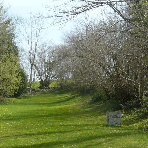 Stellplatz - Pauschale Stellplatz großes Zelt (+10m²)
