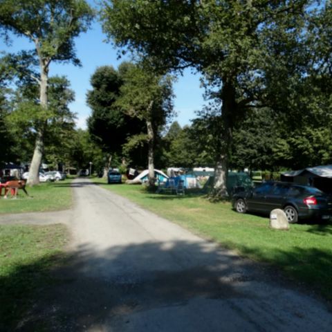 PARCELA - con electricidad