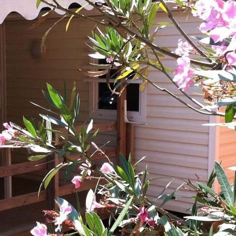 Mobile home 4 persons - LE LAVANDOU