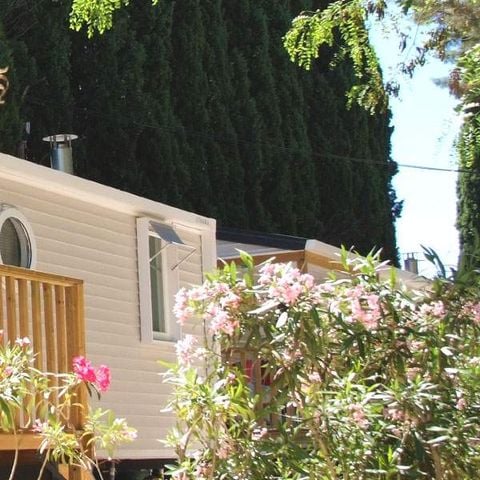 MOBILHOME 2 personnes - Mobil Home Îles D'or - 23m² - 2 chambres + terrasse semi-couverte