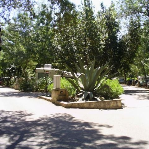 PLOT - Pitch + 10 amp electricity + car + caravan or tent