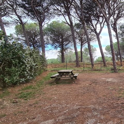 PIAZZOLA - Piazzola Tenda/roulotte/campeggio auto