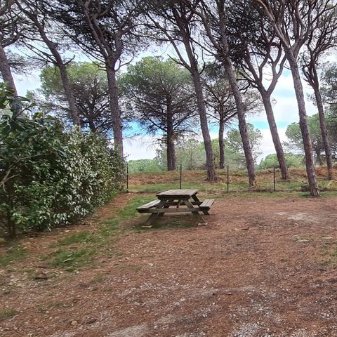 PIAZZOLA - Piazzola Tenda/roulotte/campeggio auto