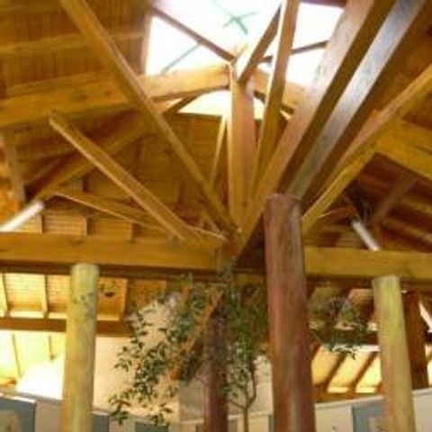 STAANPLAATS - Standaard comfortplaats met 10A elektriciteit