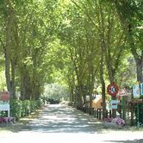 EMPLACEMENT - Emplacement Confort de taille standard avec électricité 10A